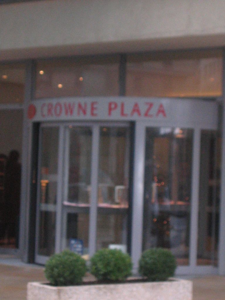 IMG 4541