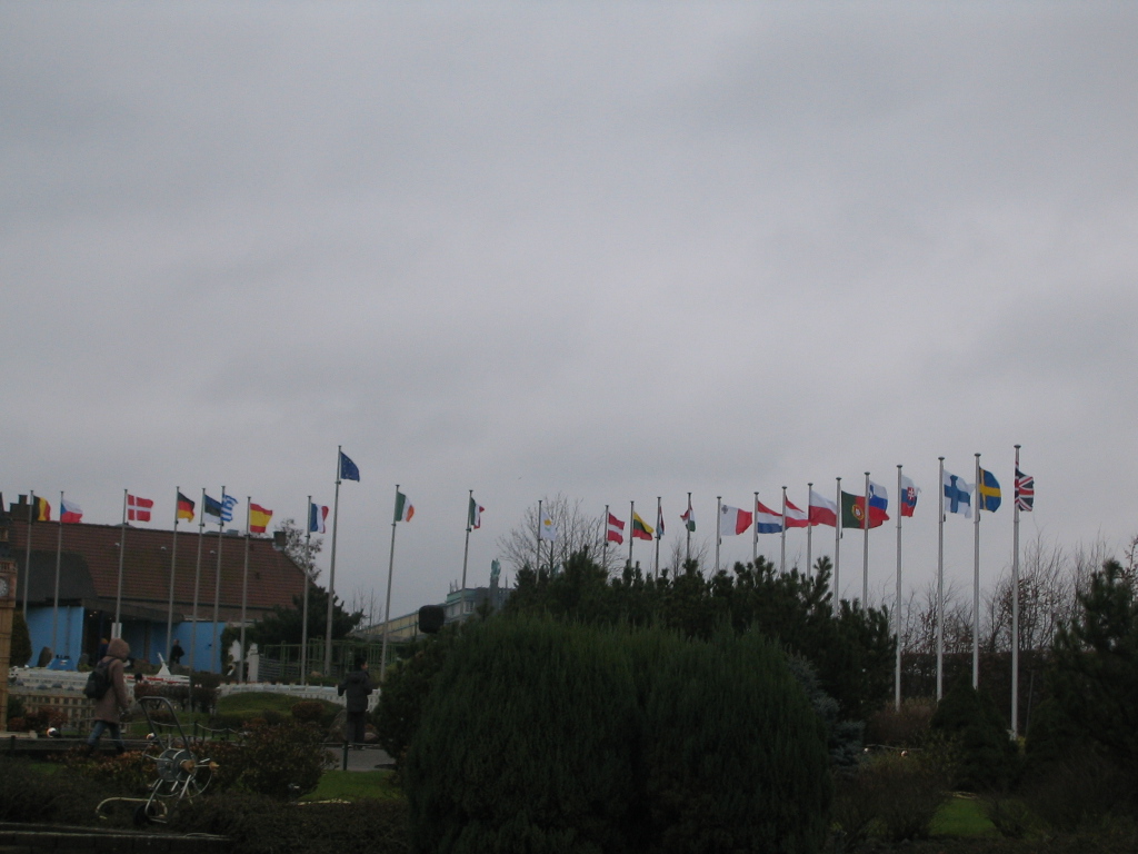 IMG 4548