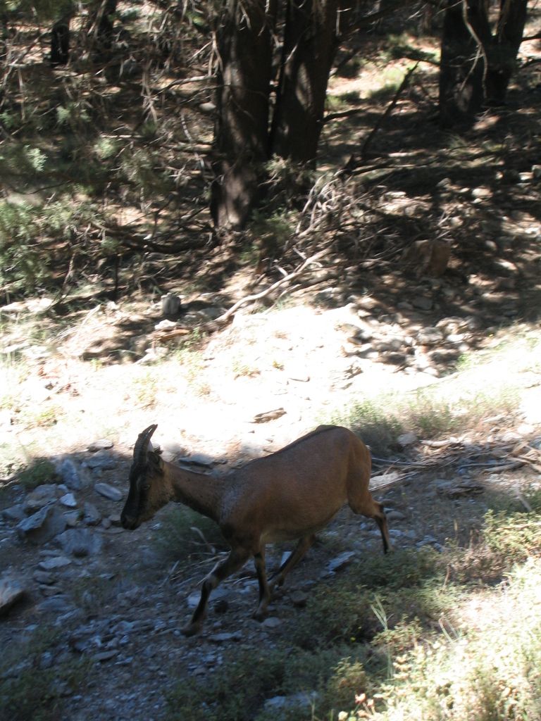 IMG 2875