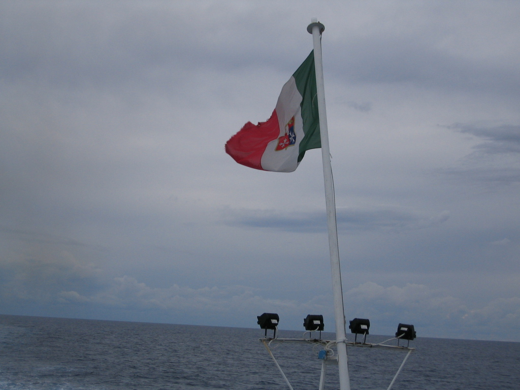 IMG 3536
