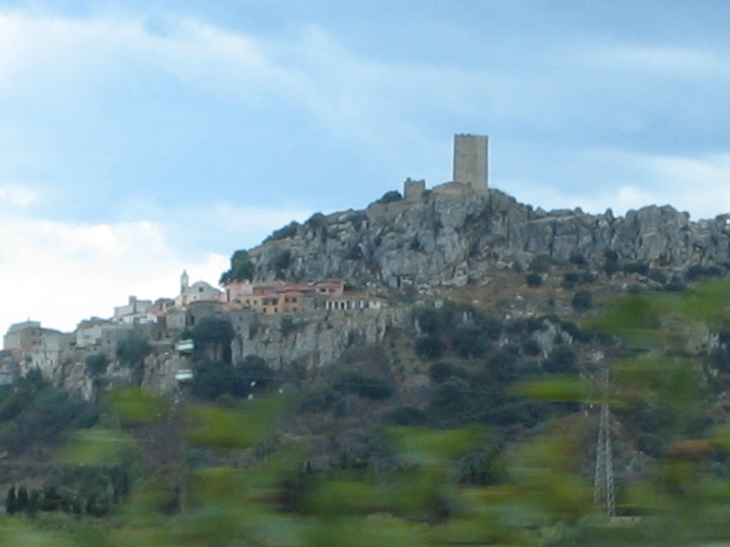 IMG 3556