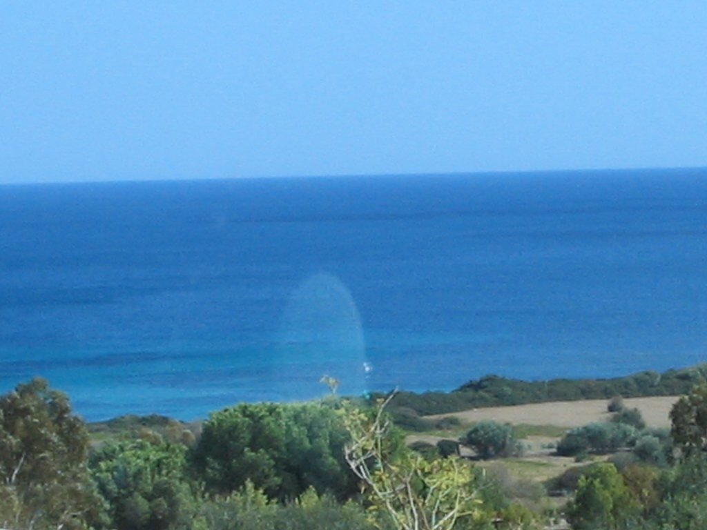 IMG 3589