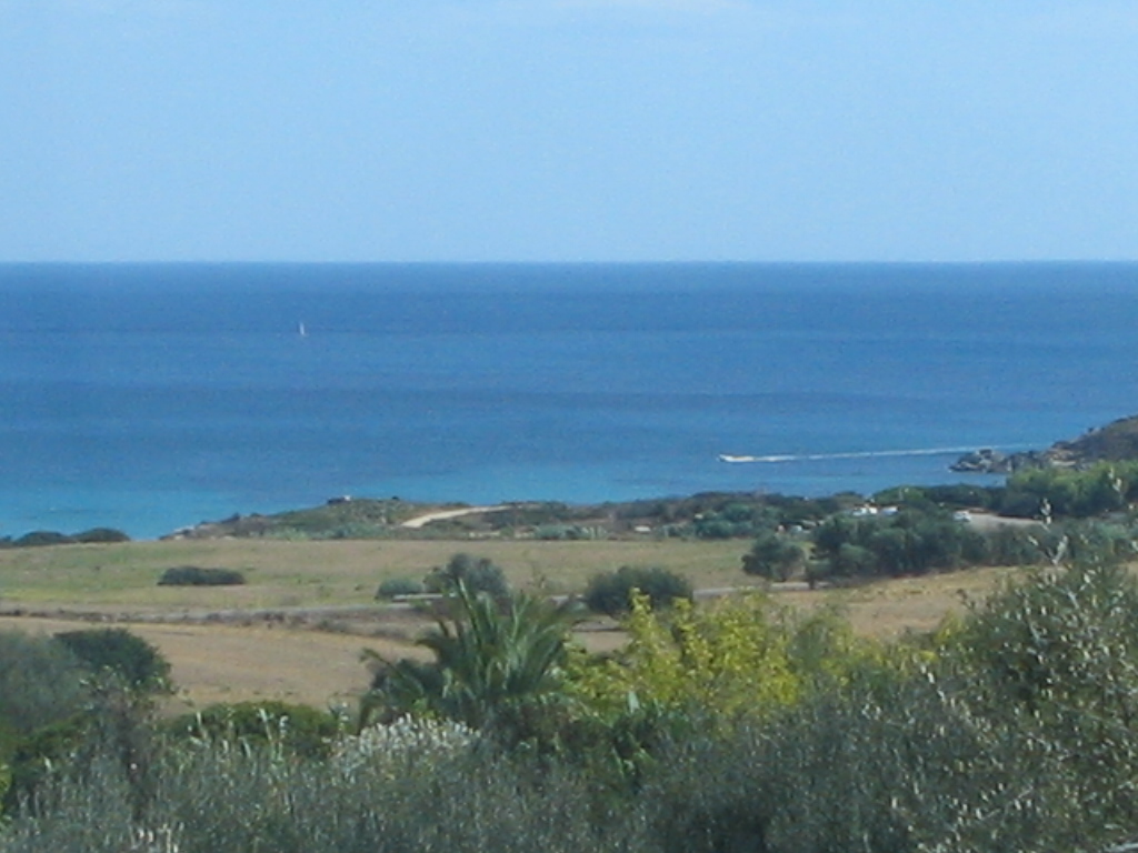 IMG 3590