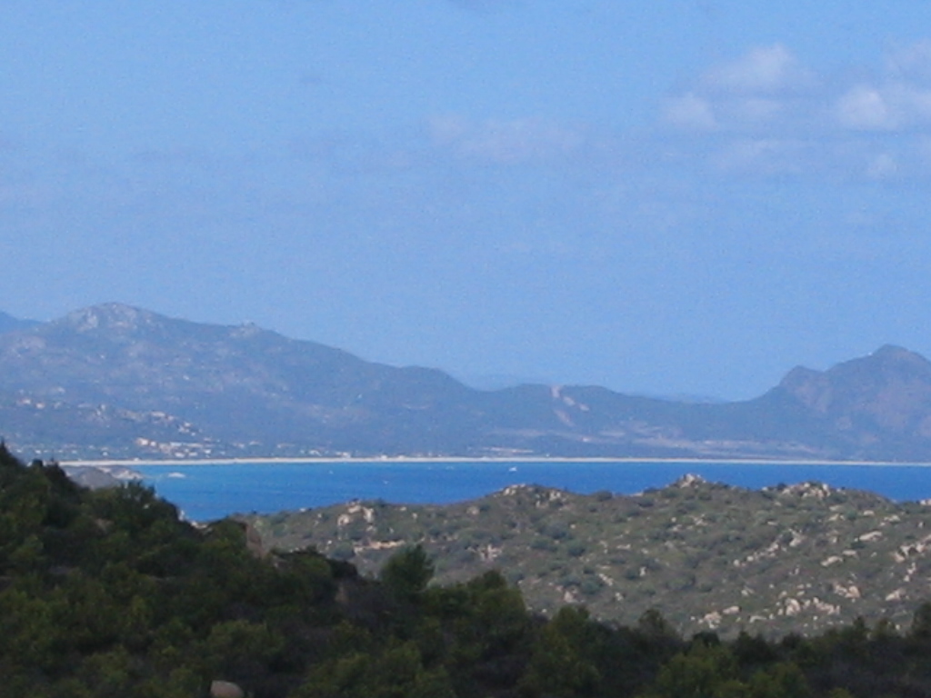 IMG 3596