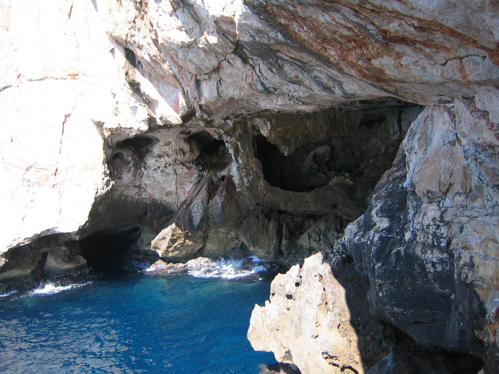 IMG 3663