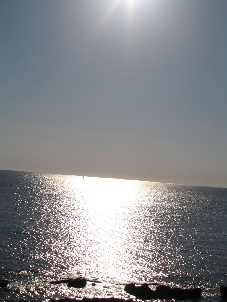 IMG 3687