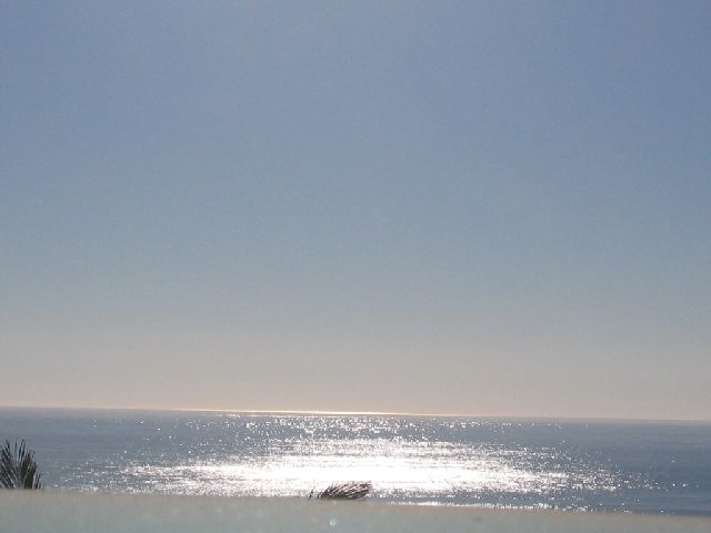 IMG 4945