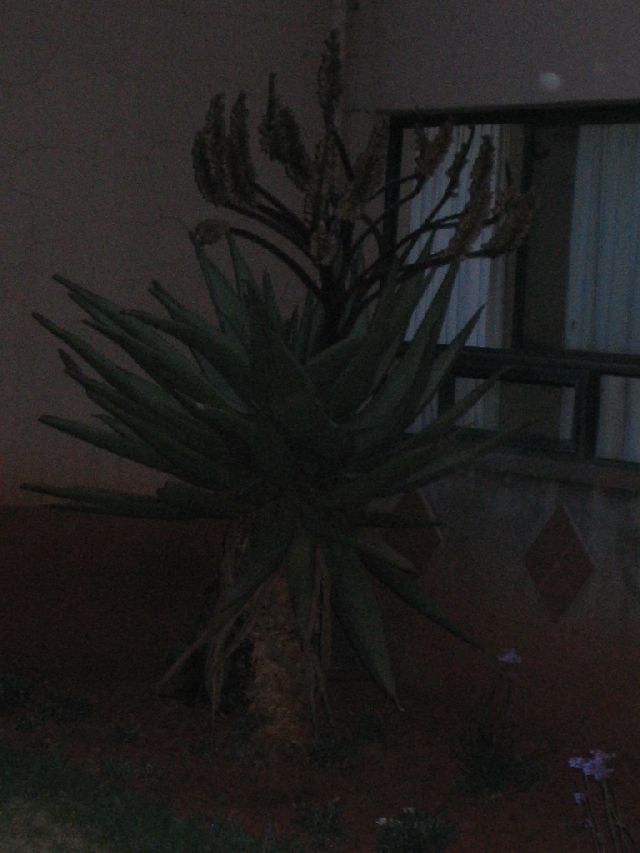 IMG 7825