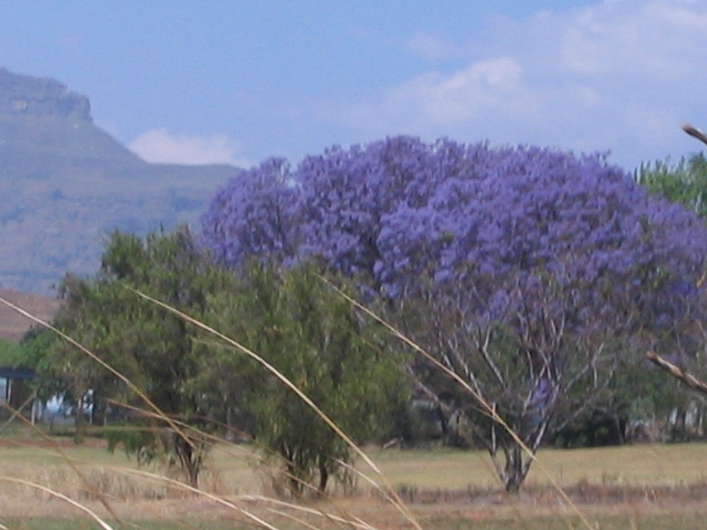 IMG 7869