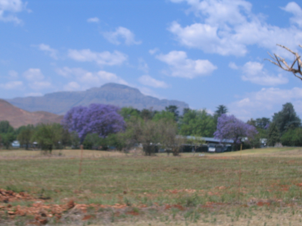 IMG 7870