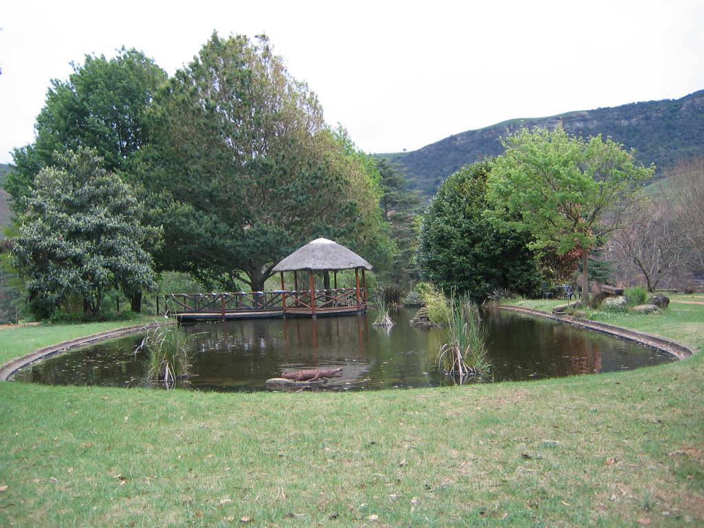 IMG 7888