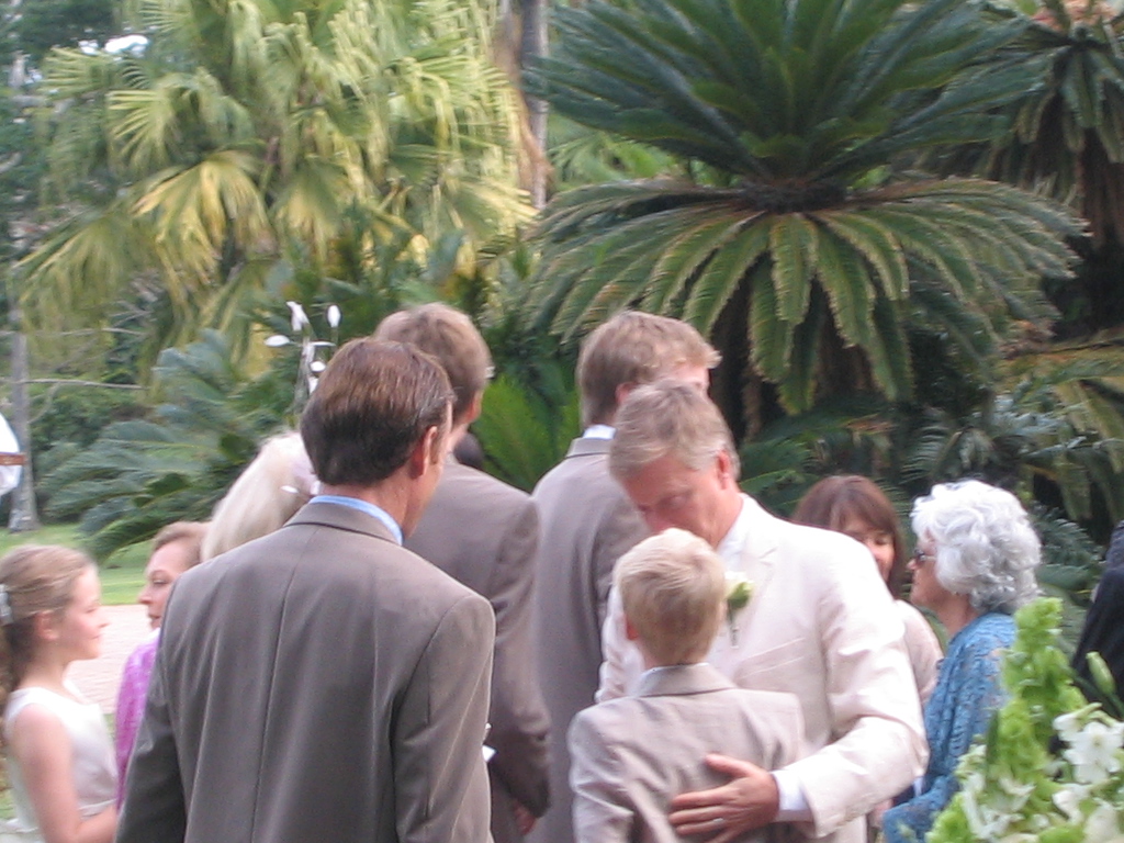 IMG 7941