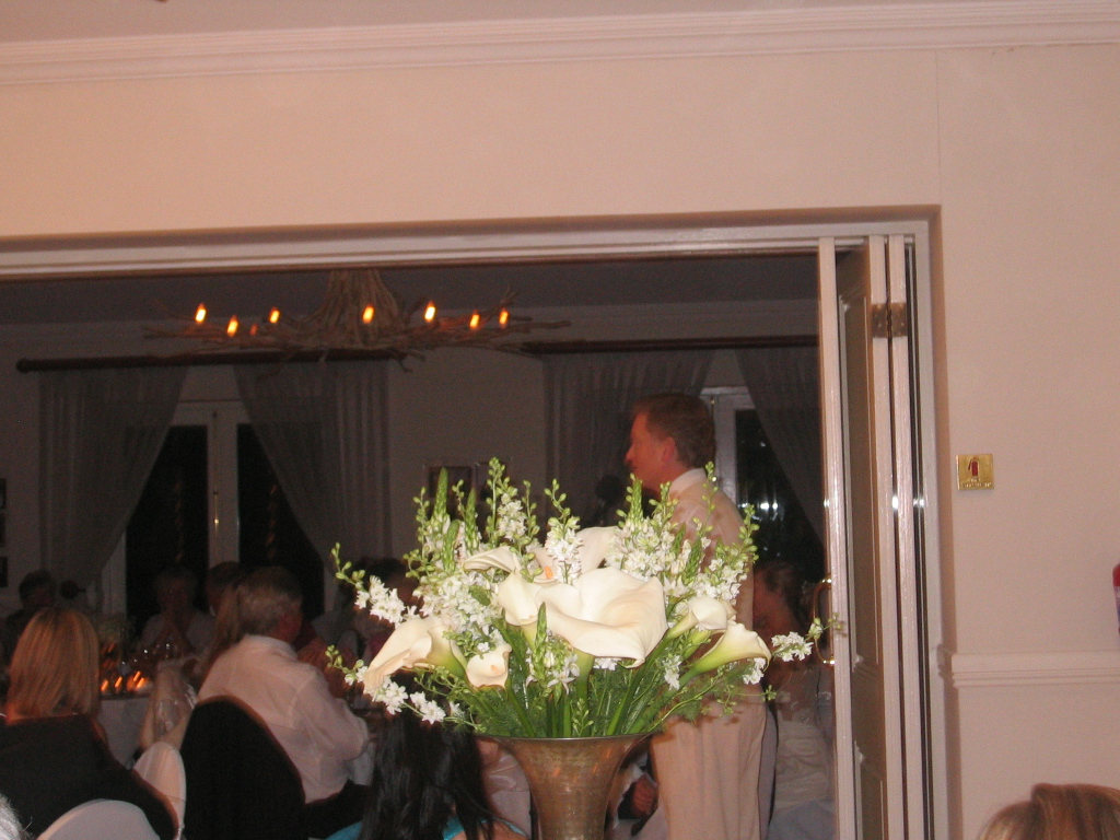 IMG 7973
