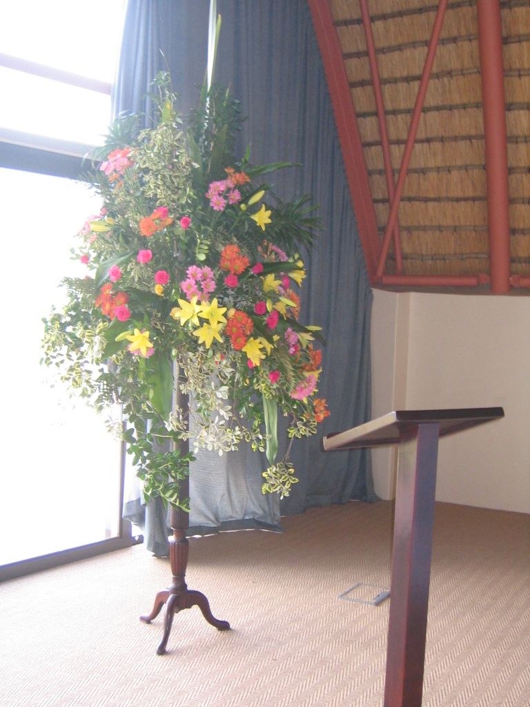 IMG 4460