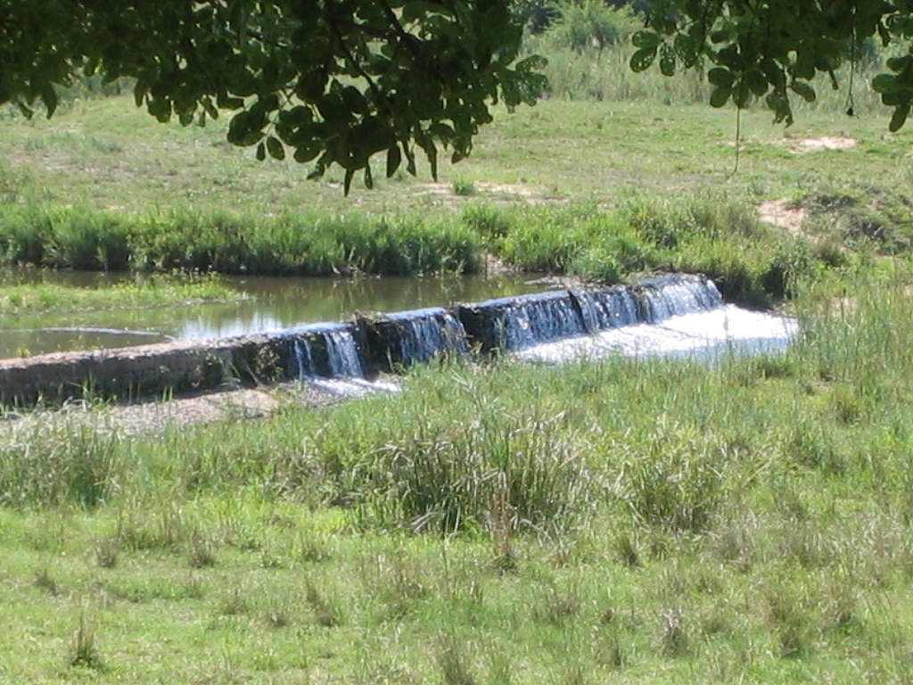 IMG 5655