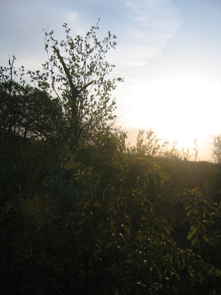 IMG 5715