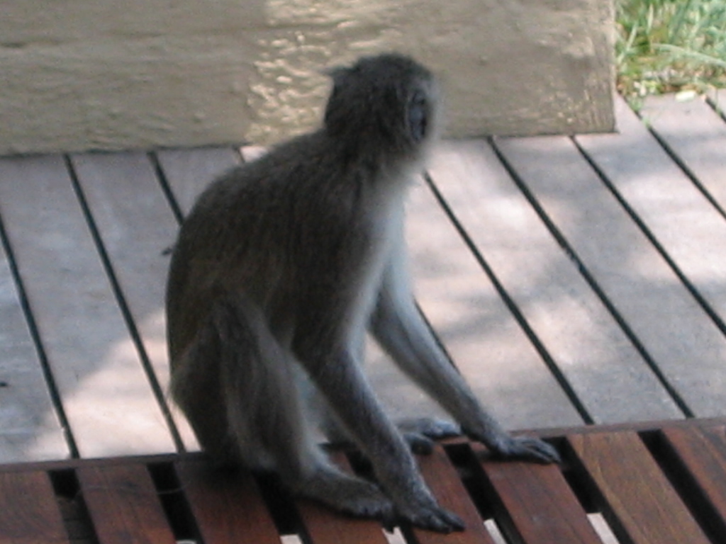 IMG 5945