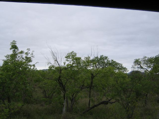 IMG 6059