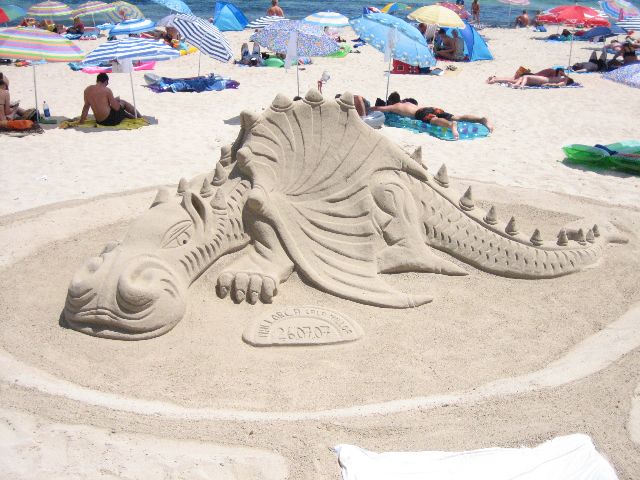 IMG 0331