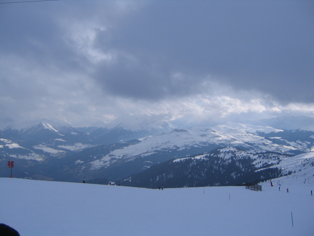 IMG 4795