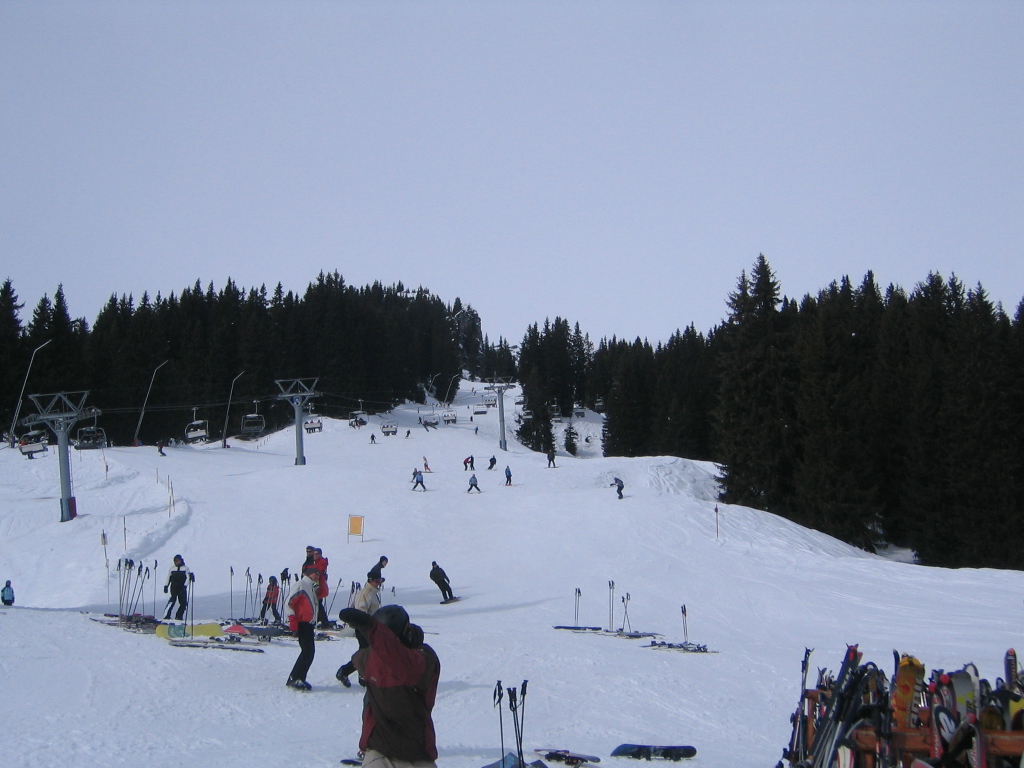 IMG 4900