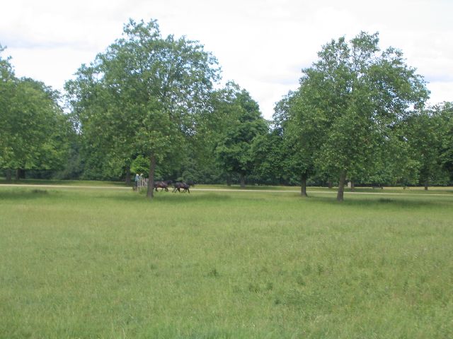 IMG 2647