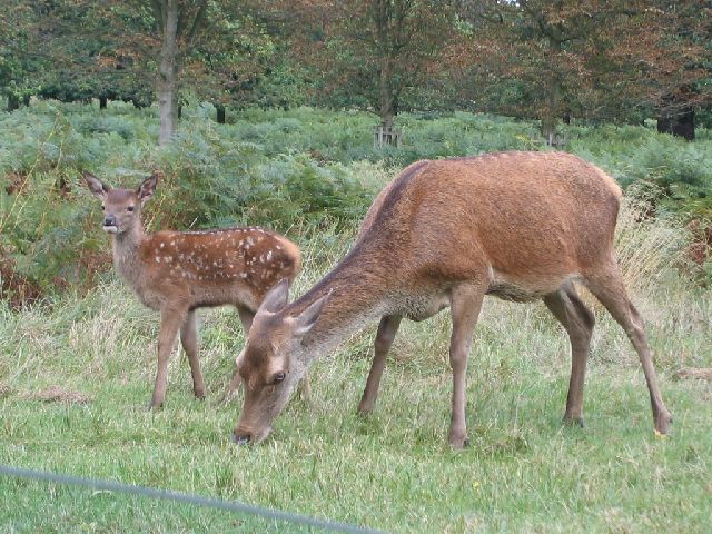 IMG 3308