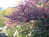 Click here to see the picture (image138.jpg)